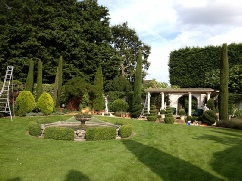 Annual Maintenance Hedge Trimming and Topiary Dereham