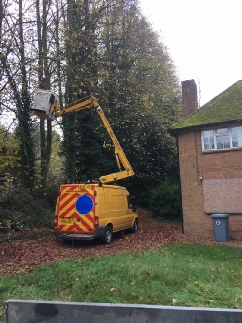 Crown Raising with aid of Platform for Efficiency Taverham
