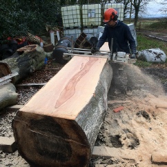 Alaskan Chainsaw Mill  Beech Timber for Picnic Table