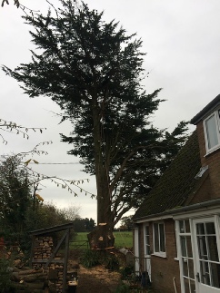 Sectional Dismantle Rigging Over Building Thornham