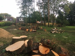 Processed Arising's from Felling Operations Tittleshall