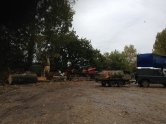 Timber Quickly Building Up in Yard