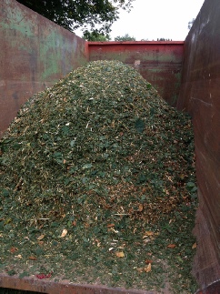 Woodchip Heading for Biomass
