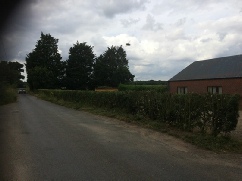 Hedge Reduction North Tuddenham Village Hall Parish Council