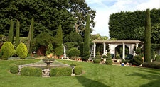 Hedge services