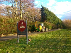 Height Reductions to Tree Line along Access Road Crane Garden Buildings Show & Factory Site
